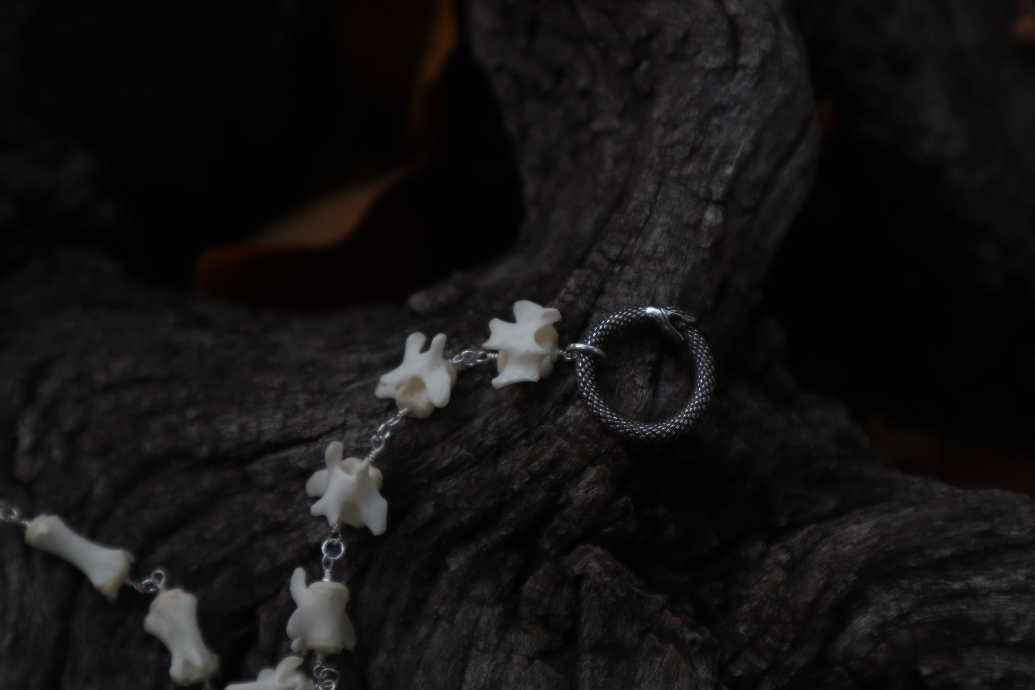 Fluid Striped Skunk Tail Articulation with Ouroboros Ring
