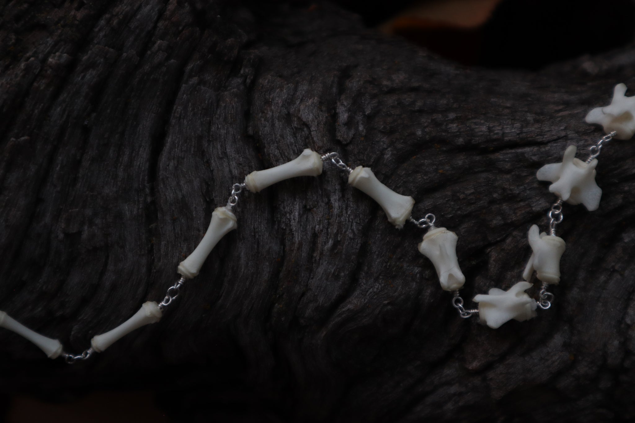 Fluid Striped Skunk Tail Articulation with Ouroboros Ring