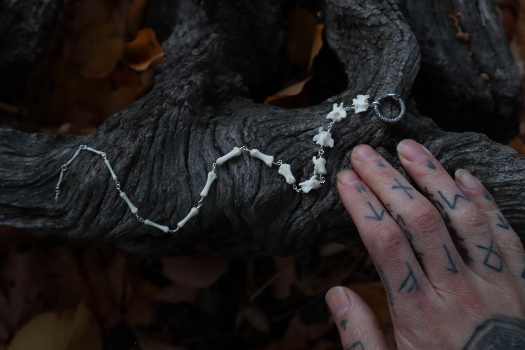 Fluid Striped Skunk Tail Articulation with Ouroboros Ring