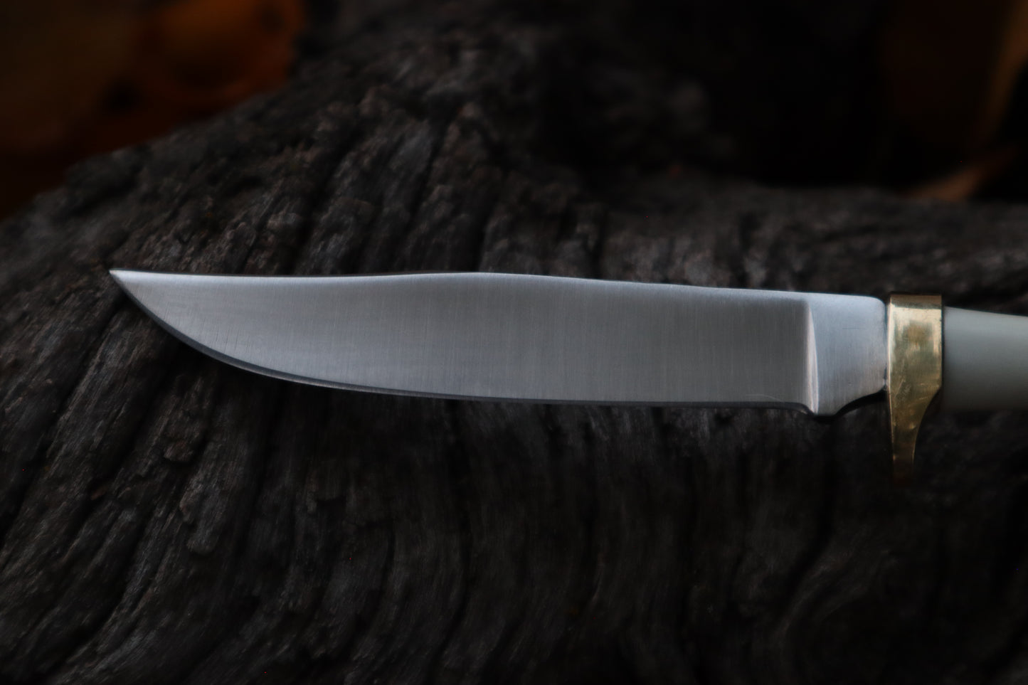 Reserved for Jules - Raccoon Femur Knife