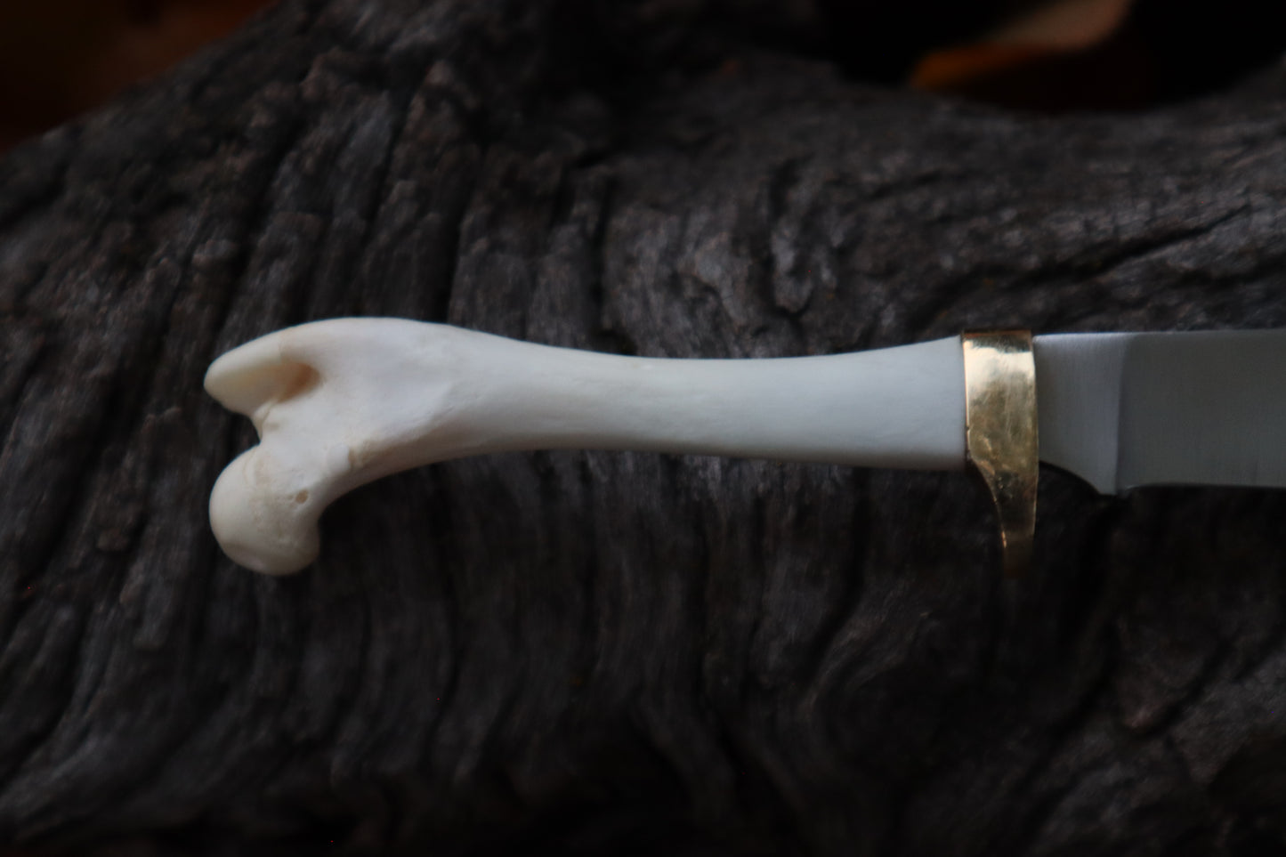 Reserved for Jules - Raccoon Femur Knife