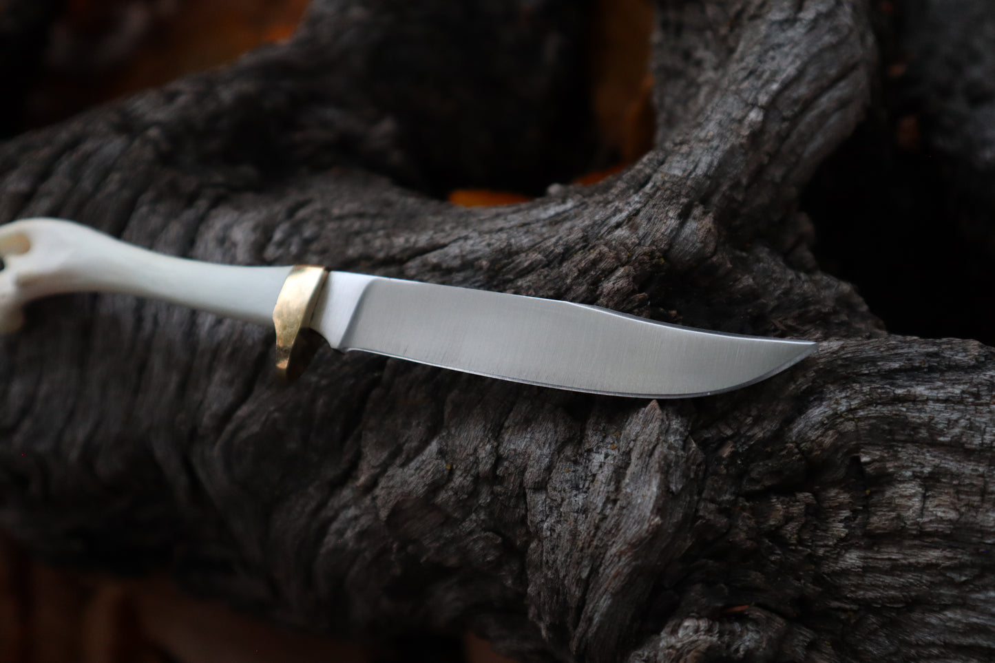 Reserved for Jules - Raccoon Femur Knife