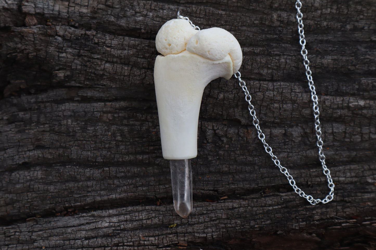 Whitetail Fawn Humerus Pendulum with Ouroboros Ring