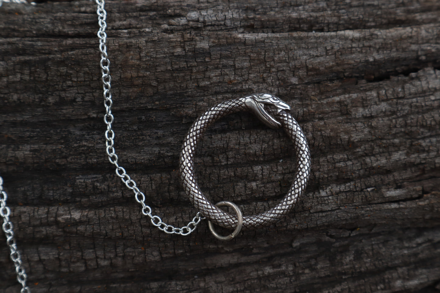 Whitetail Fawn Humerus Pendulum with Ouroboros Ring