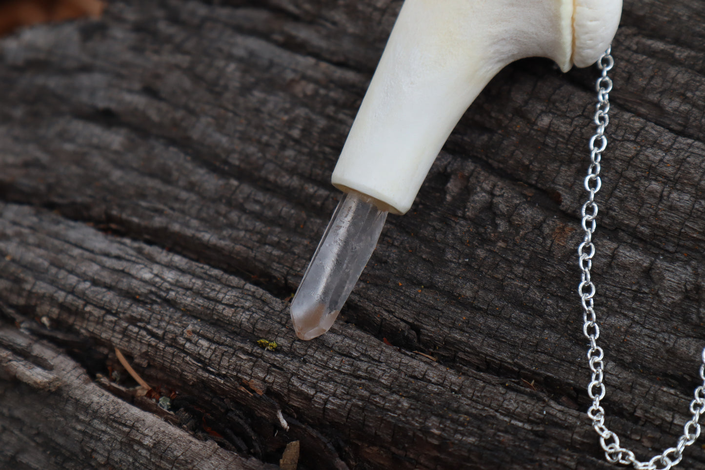Whitetail Fawn Humerus Pendulum with Ouroboros Ring