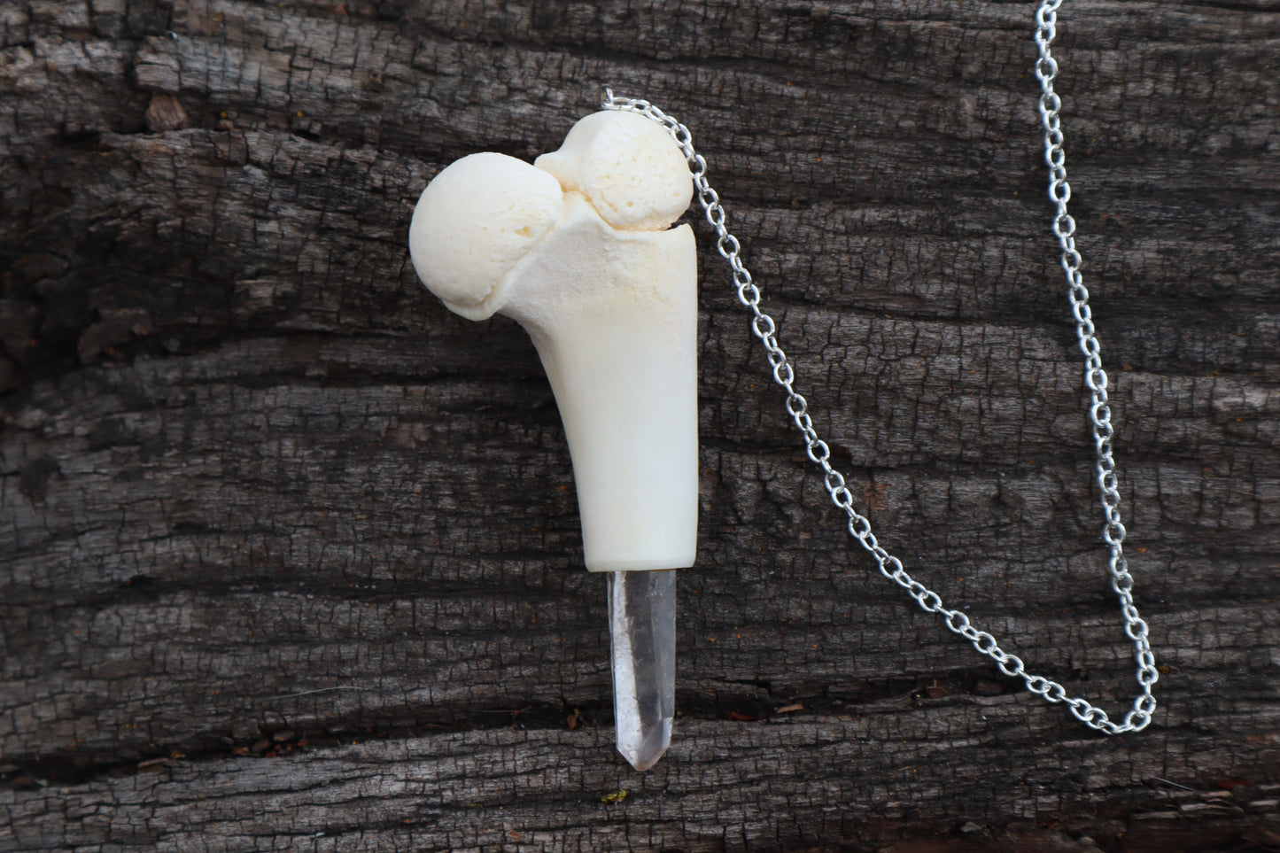 Whitetail Fawn Humerus Pendulum with Ouroboros Ring