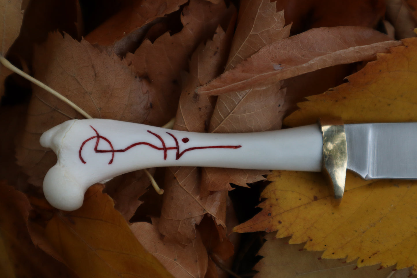 Raccoon Femur Knife