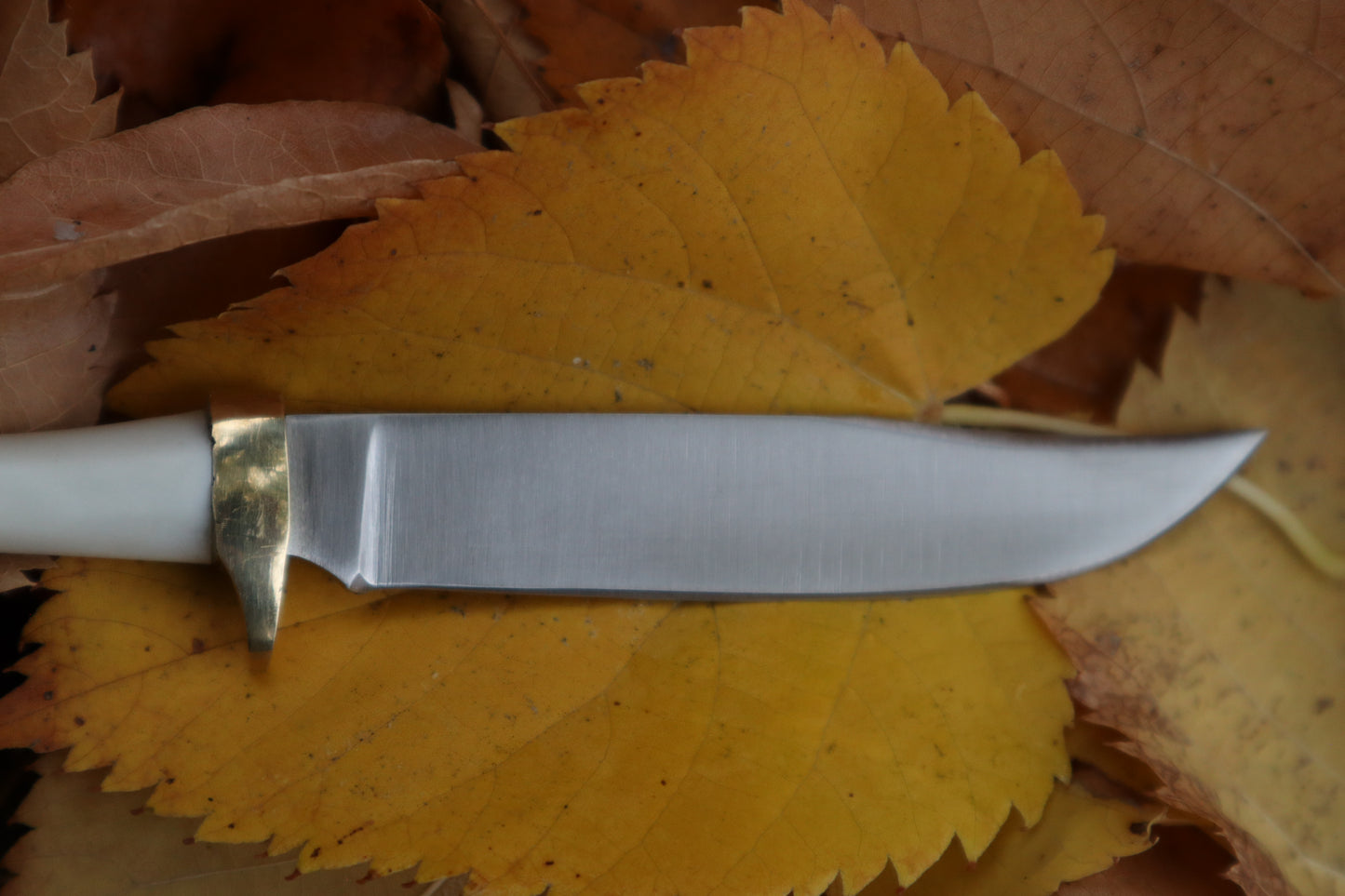 Raccoon Femur Knife