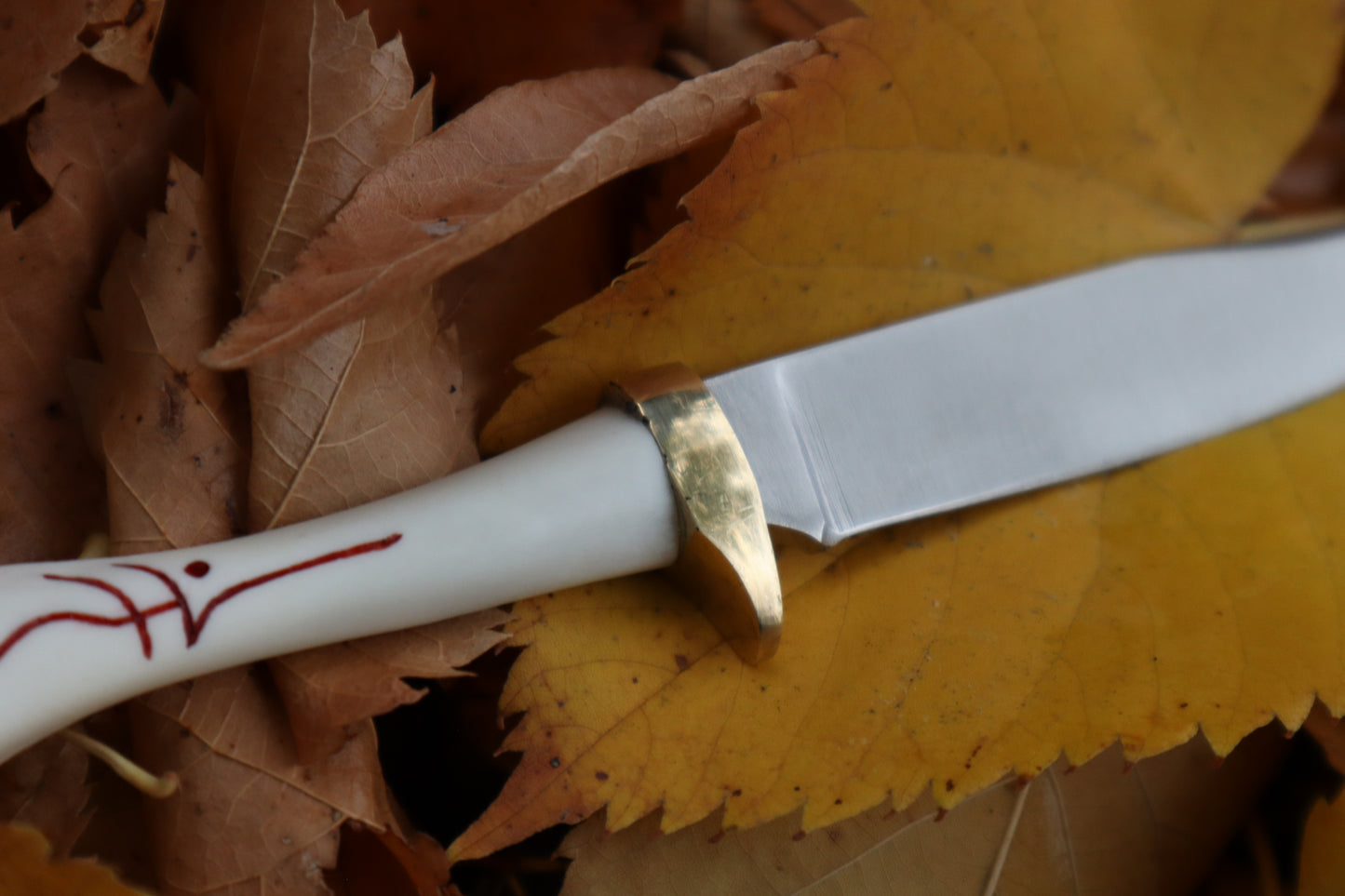 Raccoon Femur Knife