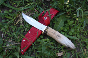 Coyote Paw Knife and Sheath