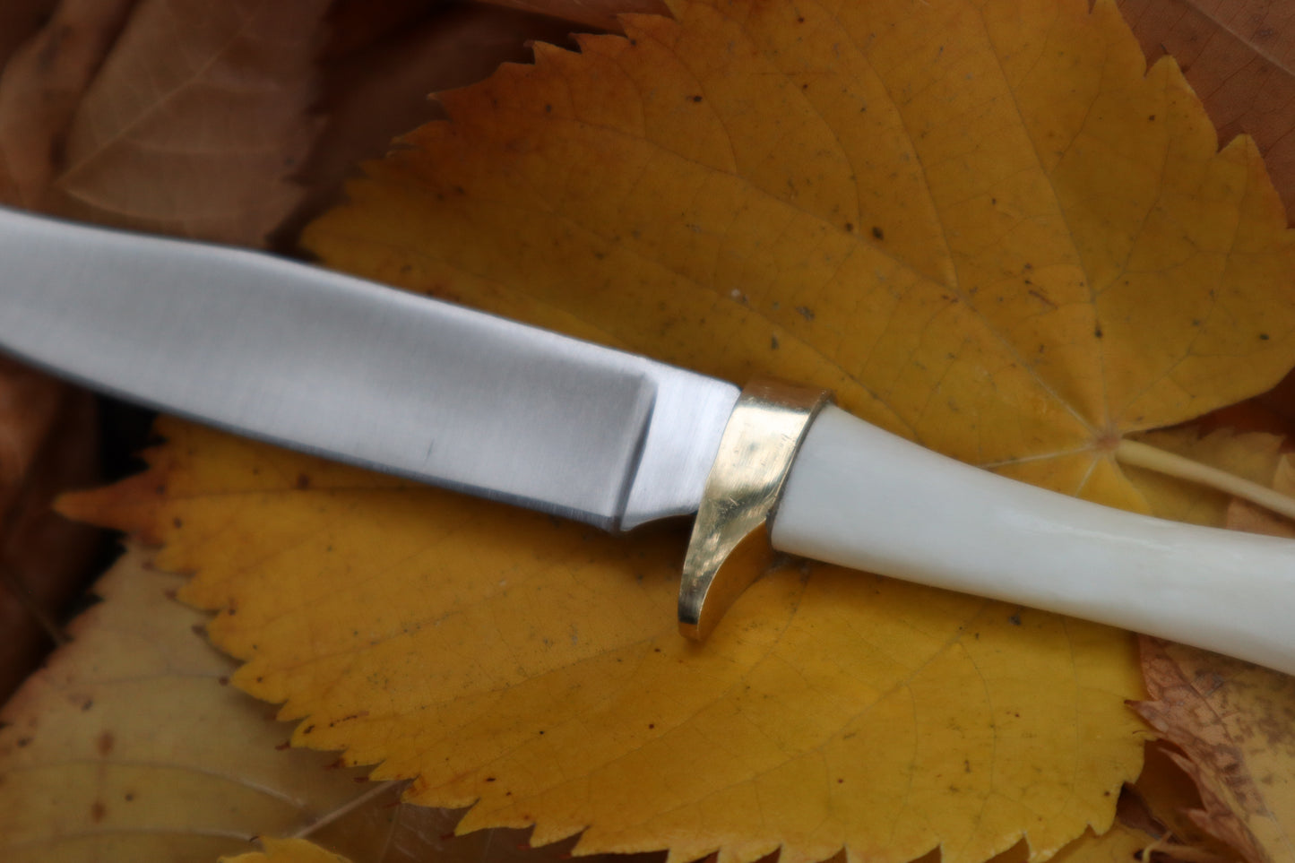 Raccoon Femur Knife