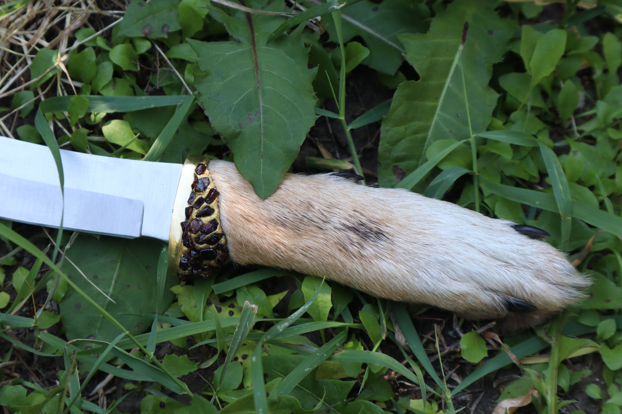 Coyote Paw Knife and Sheath