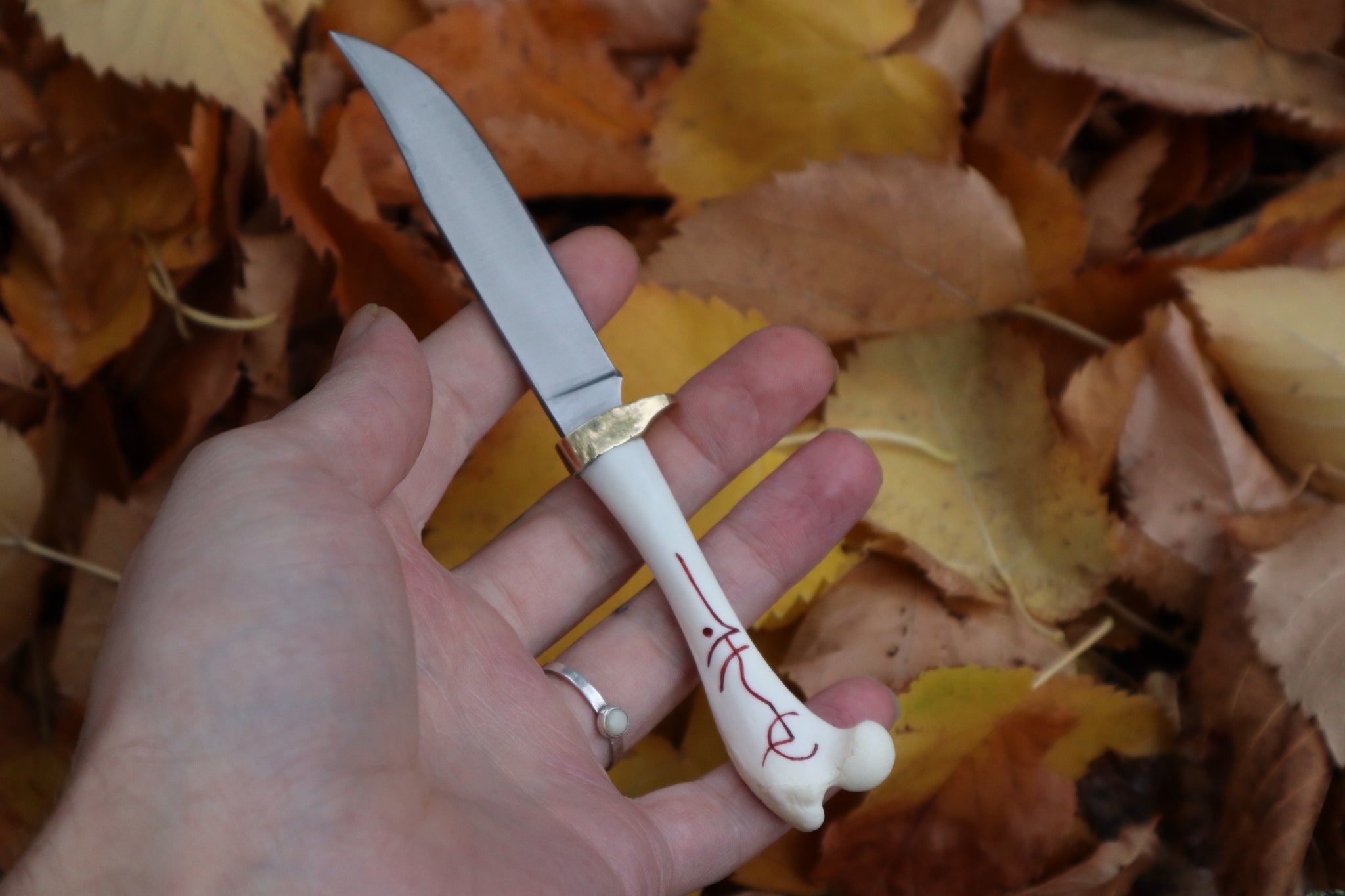 Raccoon Femur Knife