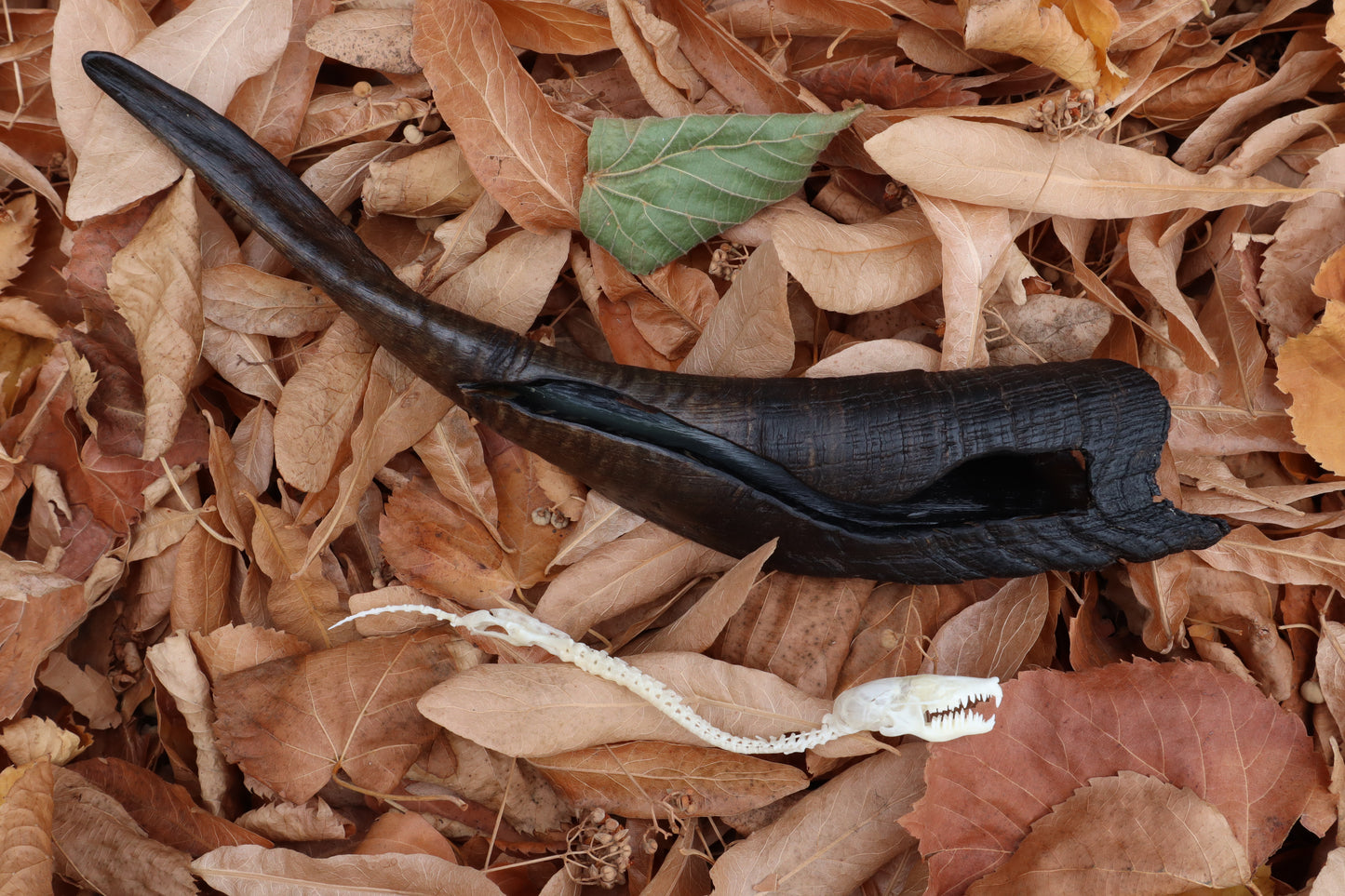 Mole Serpent Articulation