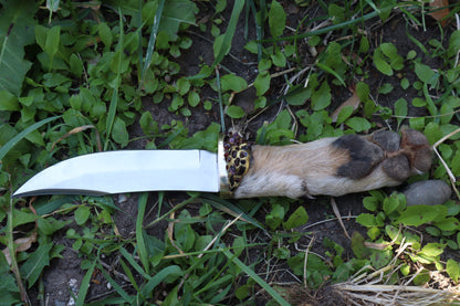 Coyote Paw Knife and Sheath