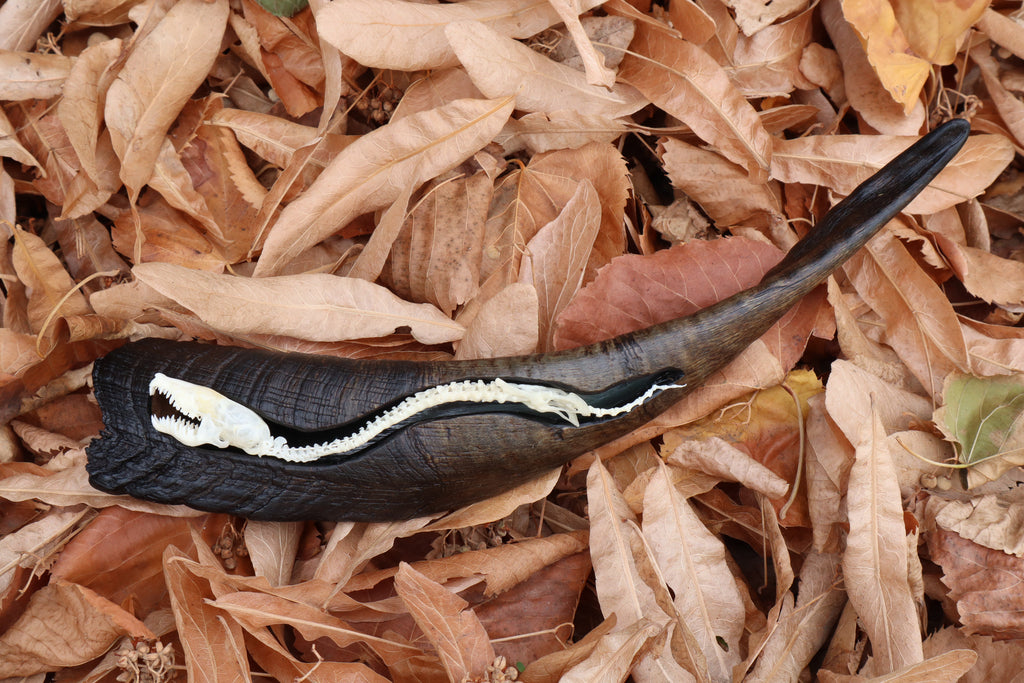 Mole Serpent Articulation
