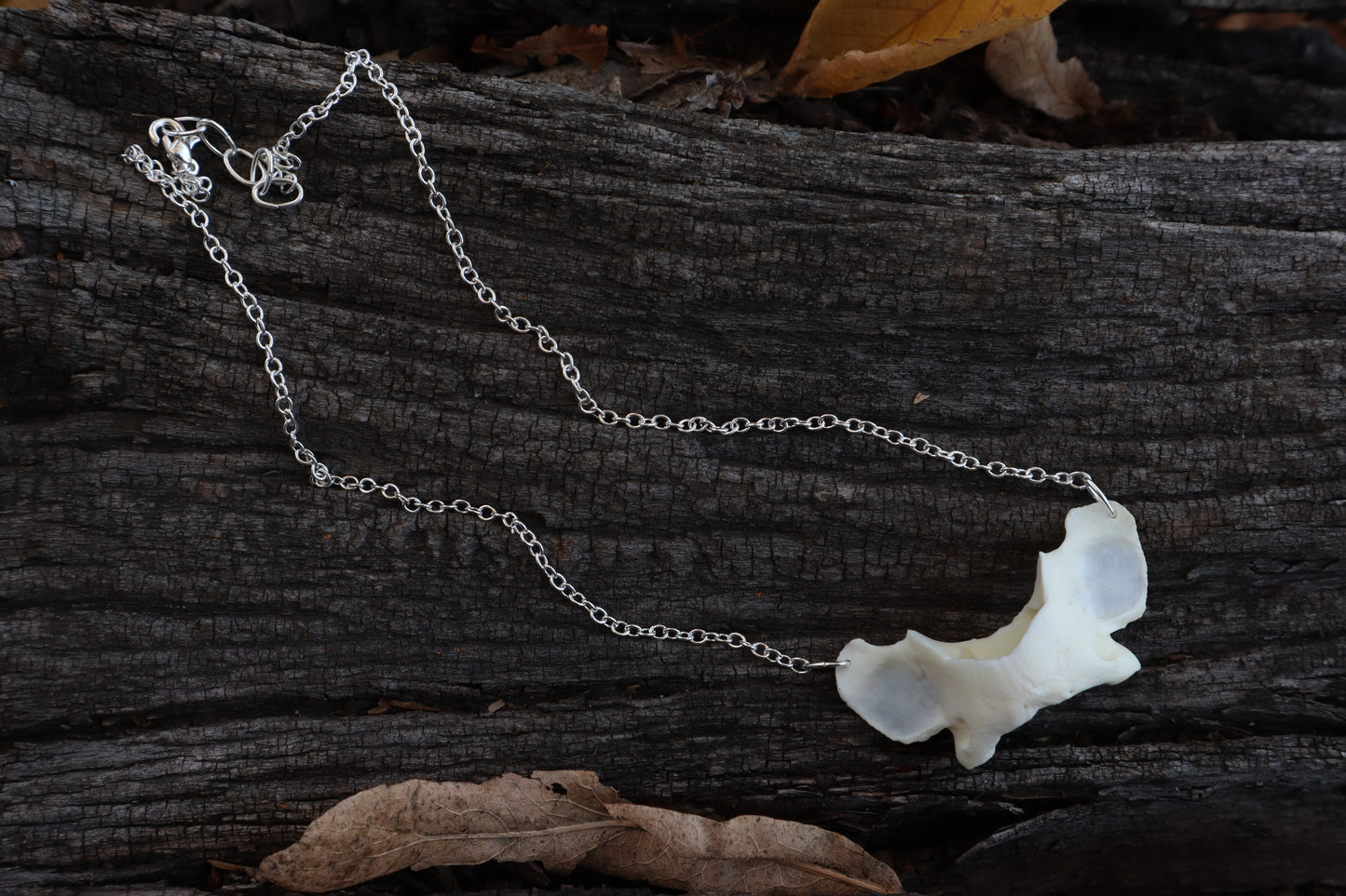 Bobcat Atlas Necklace