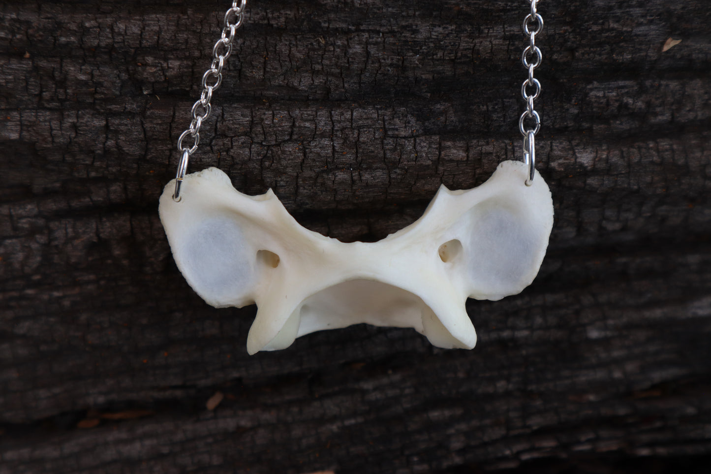 Bobcat Atlas Necklace