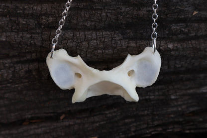 Bobcat Atlas Necklace