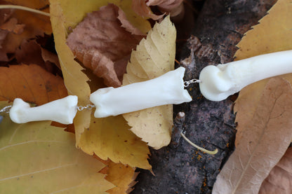 Fluid Mountain Lion Toe Articulation with a Moonstone Point "Claw"
