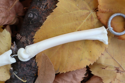 Fluid Mountain Lion Toe Articulation with a Moonstone Point "Claw"