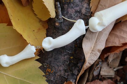 Fluid Mountain Lion Toe Articulation with a Rose Quartz Point "Claw"