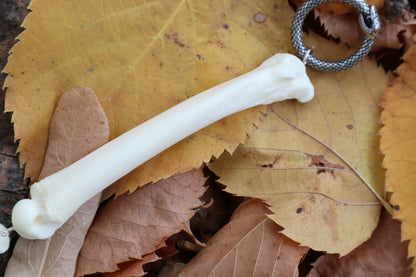 Fluid Mountain Lion Toe Articulation with a Rose Quartz Point "Claw"