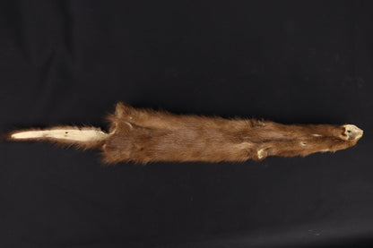 Soft Tanned Mink Wallhanger