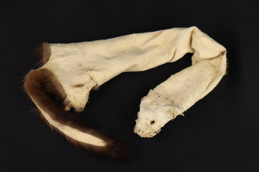 Soft Tanned Mink Wallhanger