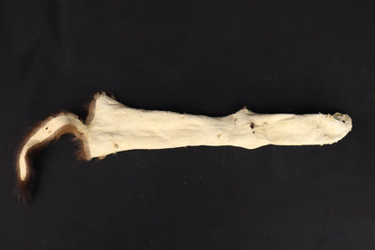 Soft Tanned Mink Wallhanger