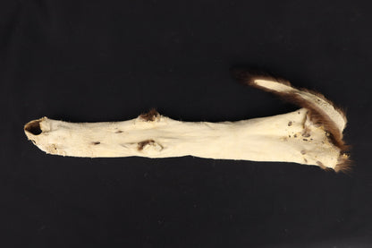 Soft Tanned Mink Wallhanger