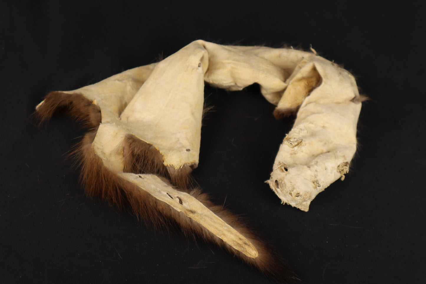 Soft Tanned Mink Wallhanger