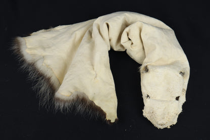 Soft Tanned Opossum Wallhanger