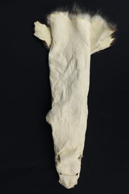 Soft Tanned Opossum Wallhanger