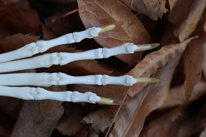 Coyote Paw Articulation
