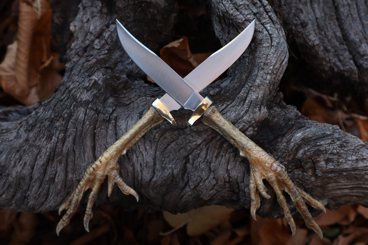 Polydactyl Chicken Foot Knife