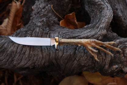 Polydactyl Chicken Foot Knife
