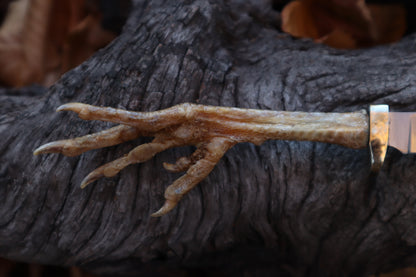 Polydactyl Chicken Foot Knife