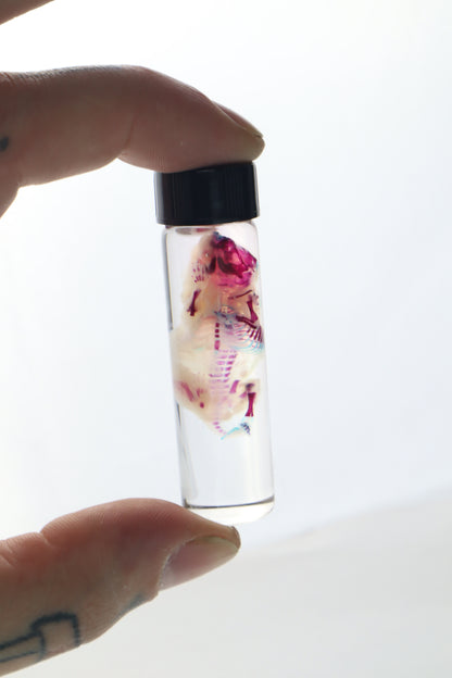 Bisected Diaphonized Pinkie Mouse