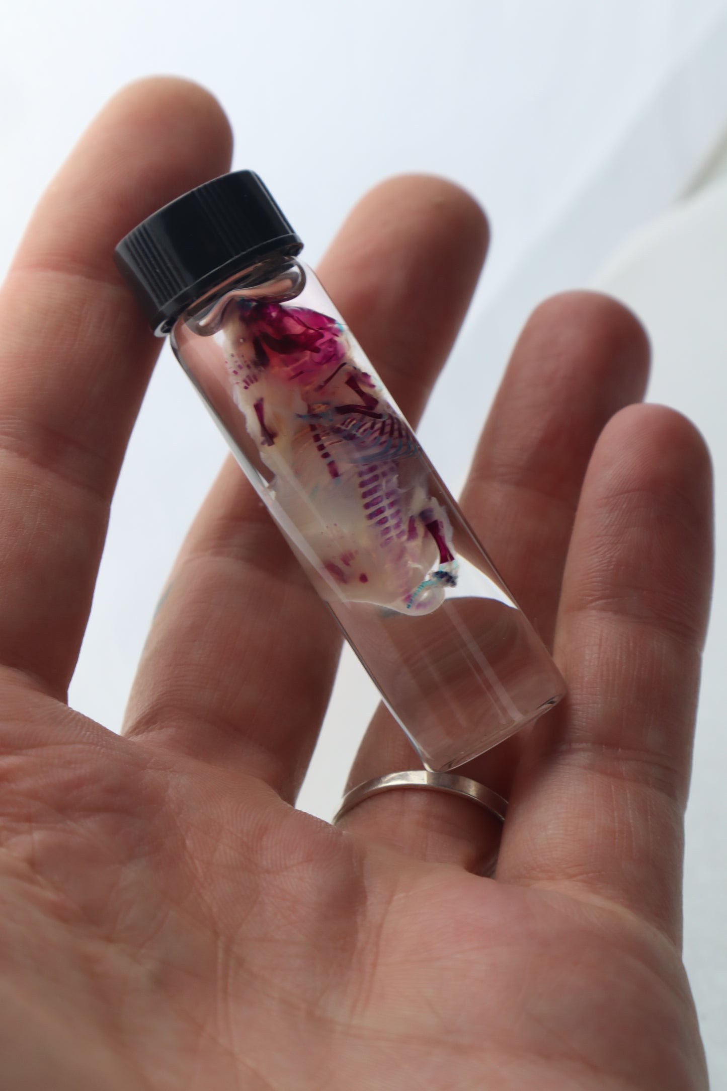 Bisected Diaphonized Pinkie Mouse