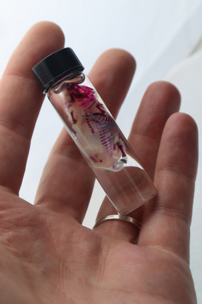 Bisected Diaphonized Pinkie Mouse