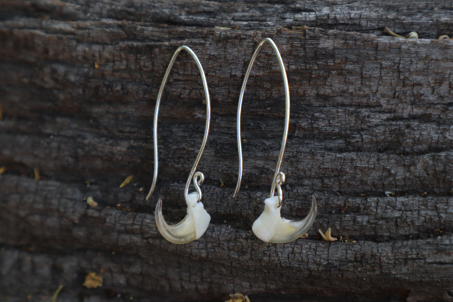 Cat Claw Earrings