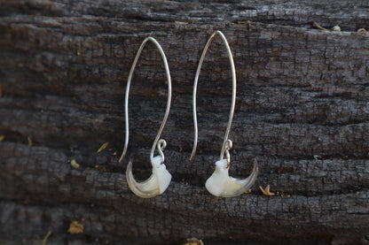 Cat Claw Earrings