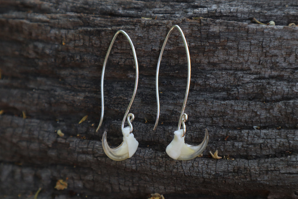 Cat Claw Earrings