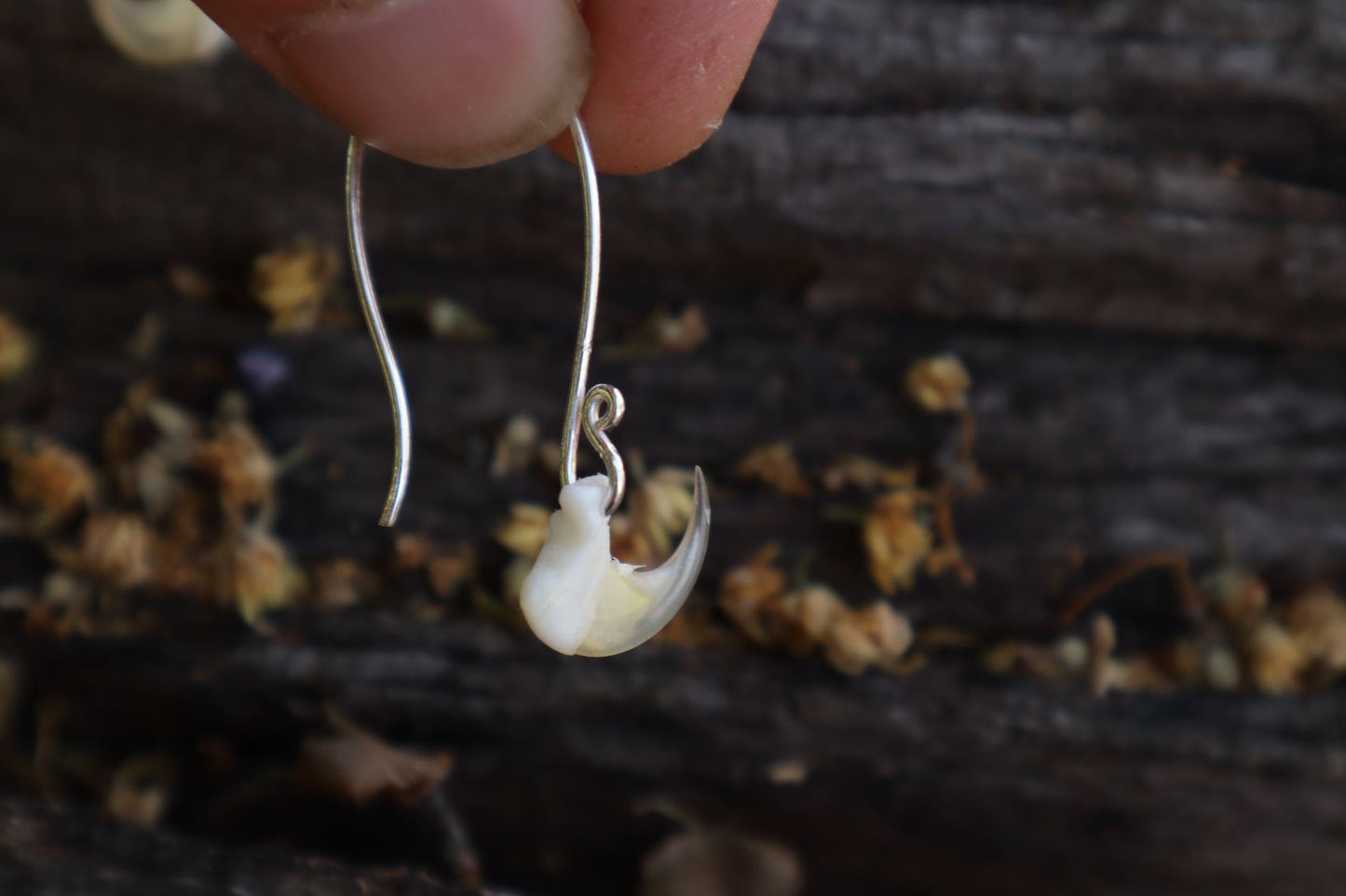 Cat Claw Earrings
