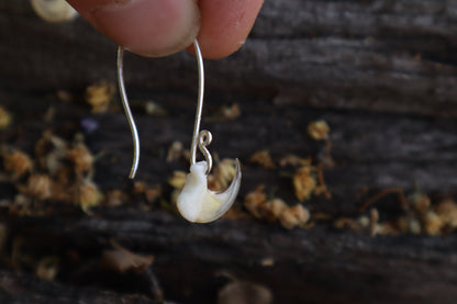 Cat Claw Earrings