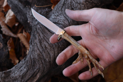 Polydactyl Chicken Foot Knife