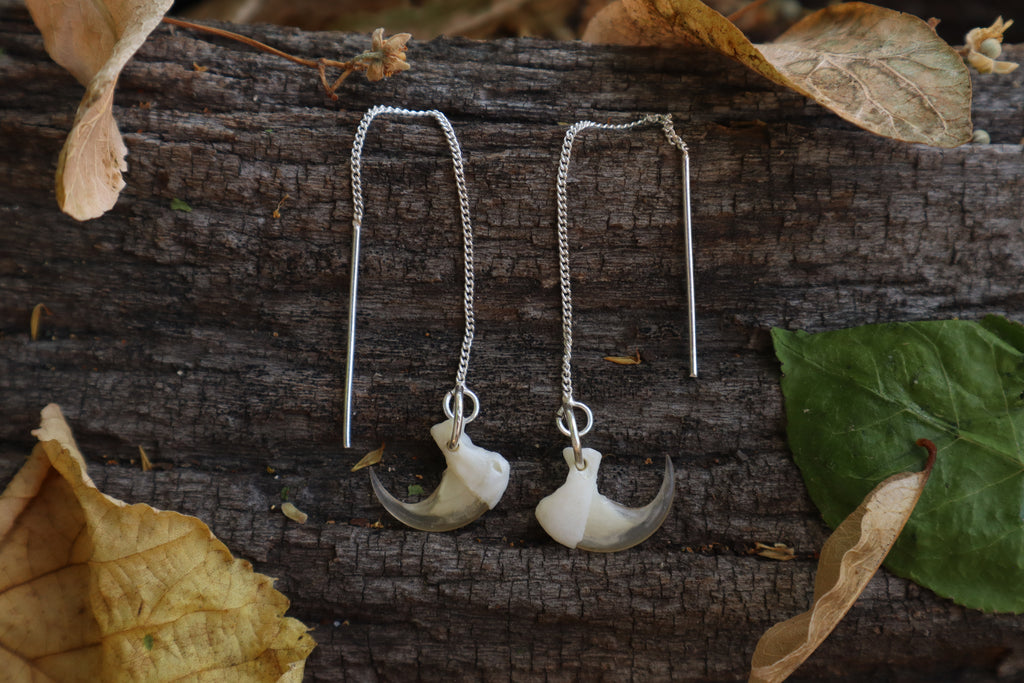 Cat Claw Earrings
