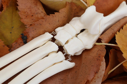 Fluid Mountain Lion Paw Articulation with Labradorite "Claws"