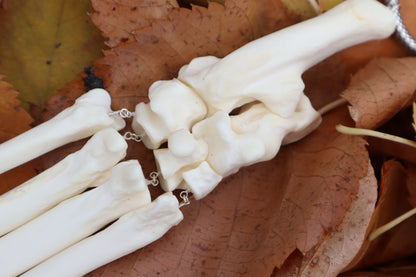 Fluid Mountain Lion Paw Articulation with Labradorite "Claws"